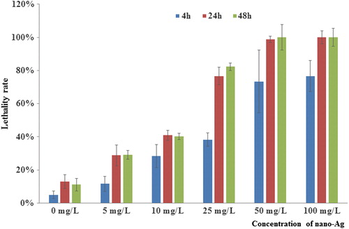 Figure 2. Deformity rate of zebrafish embryos after treatment with different concentrations (0, 5, 10, 25, 50, and 100 mg/L) of nano-Ag at 4 hpf, 24 hpf, and 48 hpf.