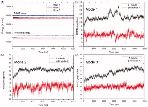 Figure 5. Potential energy (bottom) and total energy (top) evolutions of binding modes 1 (black), 2 (blue) and 3 (red) during the MD simulations (A). RMSD of backbone atoms of β-tubulin (black) and PLA (red) in binding modes 1 (B), 2 (C) and 3 (D), respectively.