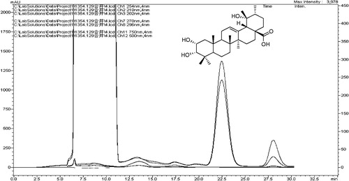 Figure 1. Preparative liquid chromatograms and structure of 1β-hydroxyeuscaphic acid.