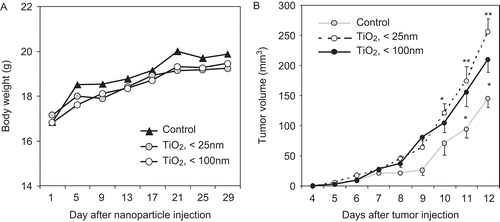 Figure 6.  Tumor growth was increased by host pre-tumor implantation exposure of TiO2 nanoparticles. Five mice per group were IP injected with 10 mg TiO2 nanoparticles/kg once a day for 28 days. B16F10 mouse melanoma cells were then subcutaneously implanted 24 h after the final nanoparticles injection; control mice were injected with vehicle only. Tumor size was then measured daily with Vernier calipers for 12 days. (A) Body weight of each animal was measured daily. (B) Tumor volume was calculated by the multiplication of the [(long axis)/2] × (short axis)2. The line graph shown is a representative of three experiments performed. Data shown are in terms of mean ± SE. Value significantly (*P < 0.05, **P < 0.01) different from that of the control group.
