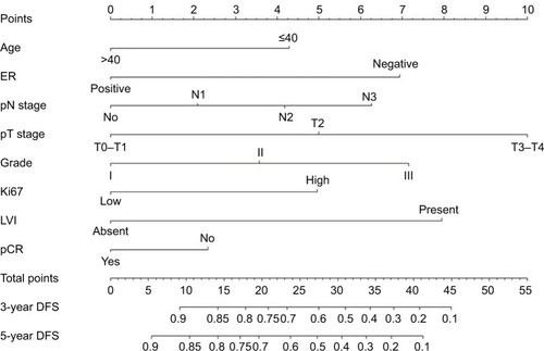 Figure 1 Prognostic nomogram for predicting DFS in BC patients who received NCT.Note: Age is in years.Abbreviations: DFS, disease-free survival; BC, breast cancer; NCT, neoadjuvant chemotherapy; ER, estrogen receptor; LVI, lymphovascular invasion; pCR, pathologic complete response.