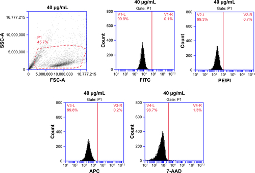 Figure S3 Flow cytometry of HeLa cells stimulated with 80 μg/mL CuS@SiO2 NPs. After stimulation, the fluorescence intensities of FITC, PE/PI, 7AAD, and APC showed no significant change (Figure S1).Abbreviations: 7-AAD, 7-amino actinomycin D; APC, allophycocyanin; FITC, fluorescein isothiocyanate; NP, nanoparticle; PE, phycoerythrin; PI, propidium iodide.