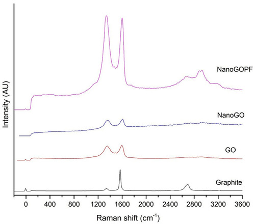 Figure 1 Raman spectra of GO and NanoGO samples obtained using 532 nm diode laser excitation.