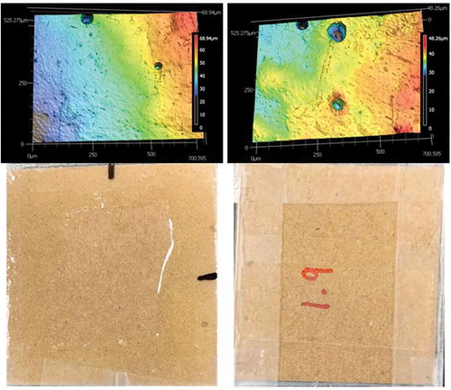 Figure 7. Representative confocal images of poly(butylene succinate) coated paperboard surfaces after heat and hold convenience food packaging simulation (upper left) and line scan (upper right). Optical images of front and back images after the heat and hold procedure