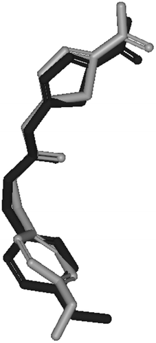 Figure 4.  Comparison between the docked conformer/pose of inhibitor AR-A014418 (dark black) as produced by the docking simulation and the crystallographic structure of this inhibitor within GSK-3β (gray, PDB code: 1Q5K).