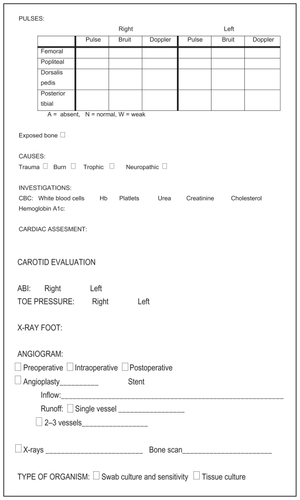 Appendix 2 King Abdulaziz Medical City, Diabetic Foot Care Program data sheet.