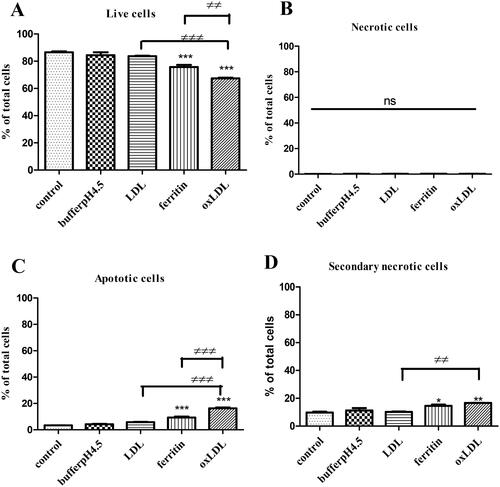 Figure 5. Effects of ferritin-oxidized LDL on apoptosis in THP-1 macrophages. Ferritin-oxidized LDL was prepared by incubating LDL (1 mg protein/ml) with ferritin 880 µg/ml; 2 µM) at 37 °C for 24 h in NaCl/sodium acetate buffer, pH 4.5. THP-1 cells (500,000 cells per well) were cultured in RPMI 1640 containing serum and antibiotics alone or with NaCl/sodium acetate buffer, pH 4.5 (10%), native LDL (100 µg protein/ml), ferritin (88 µg/ml; 0.2 µM) alone or ferritin-oxidized LDL (100 µg protein/ml). After incubation for 48 h, the cells were harvested and assayed by flow cytometry. The percentage of (A) live cells, (B) necrotic cells, (C) apoptotic cells, and (D) secondary necrotic cells are shown. The control cells were not exposed to acidic buffer, LDL, or ferritin. *p < 0.05, **p < 0.01, and ***p < 0.001 compared with the control cells for three independent experiments. ≠≠p < 0.01 and ≠≠≠p < 0.001 for the indicated comparison.