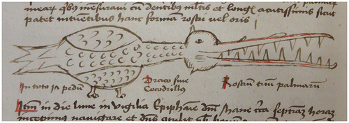 Figure 3. Crocodile, reproduced by kind permission of the Staatliche Bibliothek Neuburg an der Donau, Sign: 04/Hs. INR 10 (Eigentümer: Studienseminar Neuburg an der Donau), p. 120.