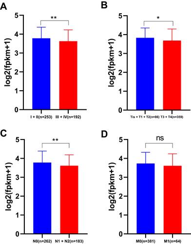 Figure 2 With tumor stage increasing, the expression of NDC1 was decreased. (A) The expression of NDC1 in stage III and IV was higher than stage I and II. (B) NDC1 was decreased in T3 and T4 stage compared with Tis, T1 and T2. (C) NDC1 was down-regulated in N1 and N2 compared with N0. (D) The expression of NDC1 in M stage also showed similar trend. (*p < 0.05, **p < 0.01).