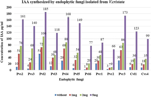 Figure 2. Amount of IAA synthesized by different strains of endophytic fungi in growth medium with or without tryptophan condition. PVL2 synthesized maximum amount of IAA and PVR2 was the least IAA synthesizer. Experiments were performed in biologically independent replicate (n = 3) with ±SE. Tested values are significantly different at p ≤ 0.05 (one way ANOVA).