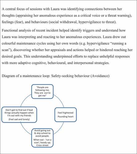 Figure 3. Case example – maintenance formulation.