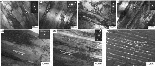 Figure 3. Bright-field TEM images of (a) Cu at η = 3.0 and (b) at η = 5.0, (c) Cu-2 wt.% Ag at η = 3.0 and (d) at η = 5.0, (e) Cu-6 wt.% Ag at η = 3.0 and (f) at η = 5.0, inserts are the SAED patterns, (g) dark-field TEM image corresponding to the white rectangle in (f) by using the reflection of (111)Ag.