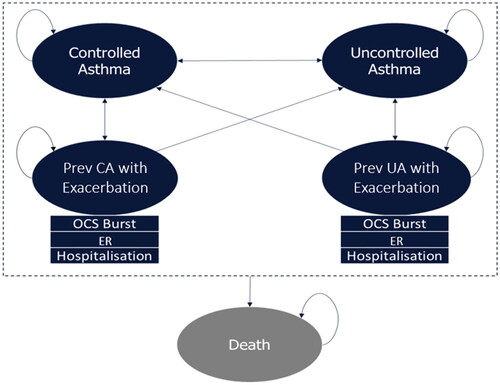 Figure 1. Model structure. Abbreviations. CA, controlled asthma; ER, emergency room; OCS, oral corticosteroid; UA, uncontrolled asthma.