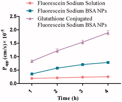 Figure 6. Apparent permeability of fluorescein sodium-loaded formulations through MDCK-MDR1 cell monolayer at different time interval.