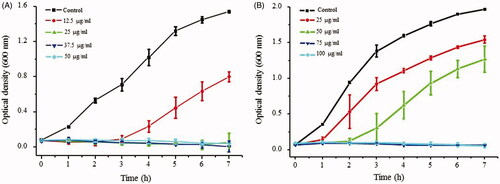 Figure 9. Effect of AgNPs on the growth of P. aeruginosa PA01(A) and E. coli UTI89 (B) at sub-MIC levels. All the experiments were performed in biological triplicates, data represent mean ± SD.