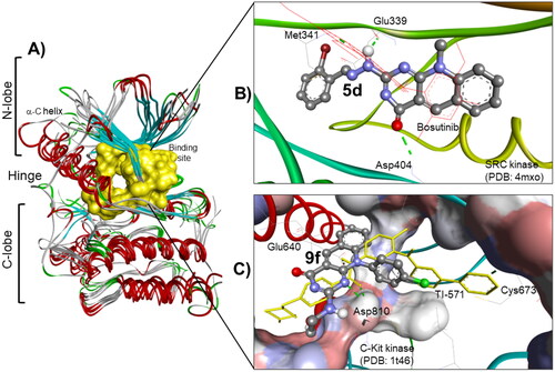 Figure 9. (A) The molecular overlay view of Abl (PDB: 2hyy), c-kit (PDB: 1t46), FAK (PDB: 4q9s), Src (PDB: 4mxo), B-raf (PDB: 4rzv), and FLT1 (PDB: 3hng) kinases showing the binding site in yellow surface view. (B) The binding mode of compound 5d into SCR kinase (PDB: 4mxo) reveals three hydrogen bonds with Met341, Glu339, and Asp404 amino acids. (C) The docking pose of compound 9f into C-Kit kinase (PDB: 1t46) within RMSD of 1.79 Å from the co-crystalized TI-571 ligand and exhibiting four hydrogen bonds with Glu640, Asp810, and Cys673 amino acids.