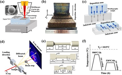 Figure 1. (a) Powder characteristics and schematic illustration of the laser DED process. (b) Different TC11 bulk samples fabricated by hybrid manufacturing technique. (c) The relative positions of the metallographic samples and different kinds of tensile samples. (d) Schematic illustration of in-situ XRD tensile experimental setup. (e) Dimensions of rod-shaped specimens, DIC and in-situ XRD coupons, unit in mm. (f) The heat treatment path for the hybrid manufactured TC11 samples.