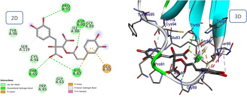 Figure 17. 2D and 3D representation of predicted binding mode of Fukinolic acid with BMPII receptor.