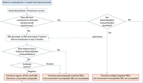 Figure 2 Algorithm for clinicians managing patients treated with daratumumab.