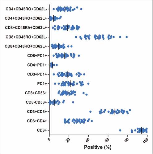 Figure 2. Phenotype of DC-CIK cells at the time of infusion. The cells were predominantly CD3+ and CD8+T cells. A substantial proportion of PD-1+ cells (a median of 20.5%) were also detected in the final product.