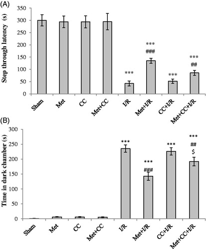 Figure 2. Evaluated effects of administration of metformin and CC on step through latency in ischemic rats. (A) Latency time to the dark chamber was detected for 5 min and expressed as seconds. (B) Time spent in dark chamber was recorded over 5 min. Bars indicate the mean ± SEM. ***p< 0.001 versus the sham group, ##p< 0.01, ###p< 0.001 versus the I/R group. $p< 0.05 versus the met + I/R group. Met, metformin (200 mg/kg); CC, compound C; I/R, ischaemia/reperfusion.