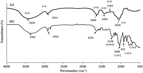 Figure 1. FTIR trends of gum Arabic (GA) and semi refined κ-carrageenan (SRC).