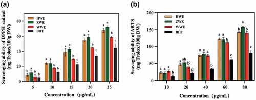 Figure 3. The in vitro antioxidant activities of colored-walnut pellicle extracts in different concentrations, (A) DPPH radical scavenging ability; (B) ABTS radical scavenging activity. The phenolic extracts of red walnut (cv. Hongren), purple walnut (cv. Ziyue) and yellow walnut (cv. Wen 185) pellicles are abbreviated as HWE, ZWE and WWE, respectively. Different letters represent a significant difference (P < .05) between the different samples at the same concentration.