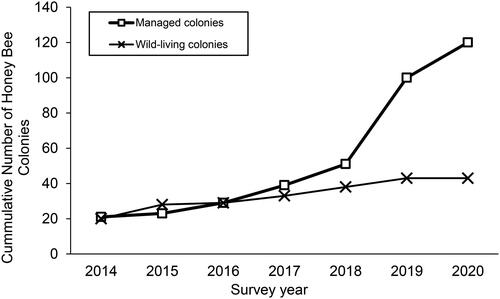 Figure 1. Cumulative number of managed honey bee colonies and of accessible sampled wild-living colonies on Guam from 2014 to 2020.