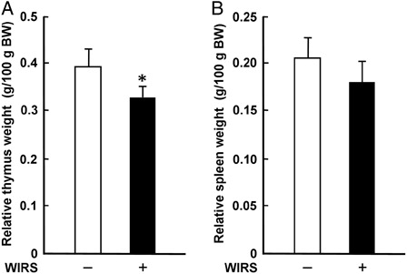 Figure 3. Effect of WIRS on the relative weights of the thymus (A) and spleen (B) in rats. The weights of the removed thymus and spleen are expressed as the relative tissue weight based on 100 g body weight (BW). Each value is a mean ± SD (n = 5 for rats without WIRS; n = 8 for rats with WIRS). *Significantly different from rats without WIRS (P < 0.05).
