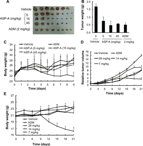 Figure 4 The anticancer efficacy of ASP-A in vivo following ASP-A multiple doses of treatments.