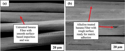 Figure 3. Surface morphology of (a) untreated and (b) 1 M NaOH treated banana fiber