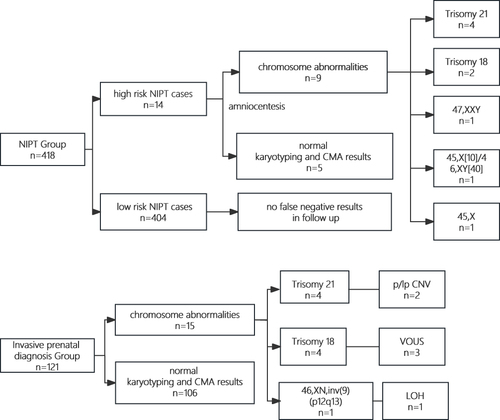 Figure 2 Comparative flow diagram of the NIPT Group and the invasive prenatal diagnosis Group.