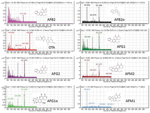 Figure 5. MS/MS spectra and fragmentation pathway showing mycotoxin metabolites and their derivatives identified from eight different samples (KSM014, KSM015, KSM018, KSM019, HB023, MC033, MC037, MC038) isolated from four different climatic regions of Kenya based on electrospray ionisation mass-to-charge (m/z) ratio and targeted mass. The mycotoxins identified (AFG1: aflatoxin G1; AFG2: aflatoxin G2; AFB2: aflatoxin B2; AFM1: aflatoxin M1; AFM2: aflatoxin M2 and OTA: ochratoxin A). (MC: Makueni; HB: Homa Bay; KSM: Kisumu respectively)