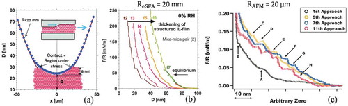 Figure 3. Irreversible liquid to solid transition induced by nanoconfinement of IL in the gap of an extended SFA, as reported in Ref [Citation67]. (a) Measured 2D profile of the contact interface at maximum compression of the IL film. (b) Force – separation curves acquired by eSFA between mica surfaces across [Hmim] EtSO4 in dry N2 atmosphere during the 2nd to the 7th approaches (from left to right) at 1 nm s_1. (c) Force–separation curves acquired by AFM for dry [Hmim] EtSO4 on mica during the 1st, 5th, 7th, and 11th approaches in dry N2 at constant speeds of 20 (1st approach) and 15 (subsequent approaches) nm s−1. Adapted with permission from Ref [Citation67]