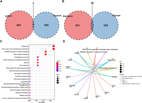 Figure 3 Identification of glycosylation-related DEGs.