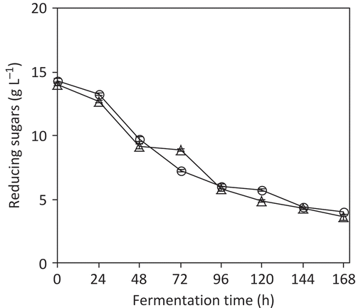 Figure 3. Comparison of sugar consumption kinetics between S. cerevisiae ITD-00068 strain (○) and the wine strain Fermichamp (∆). Fermentation was performed in red wine with 12% (v/v) ethanol and 15 g L−1 of reducing sugars. Data are expressed as the mean ± standard deviation from three independent incubations.Comparación de las cinéticas de consumo de azúcares de las cepa S. cerevisiae ITD-00068 (○) contra la cepa vínica Fermichamp (∆). Las fermentaciones fueron desarrolladas en vino tinto con 12% de etanol y 15 g azúcares reductores/L. Los datos se expresan como media ± desviación estándar de 3 incubaciones independientes.