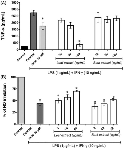 Figure 2. S. australis reduce nitric oxide (NO) and TNF-α concentration in vitro. RAW 264.7 macrophage were exposed with or without ethanol leaf and barks extracts of S. australis for 2 h and then stimulated with LPS/IFN-γ. (A) TNF-α and (B) NO production was measured 24 h later using ELISA Kit and the Griess reagent, respectively, as described in the “Materials and methods” section. Results are expressed as mean ± SD of three independent experiments. *Significant at p < 0.05 compared to control LPS/IFN-γ-induced cells.