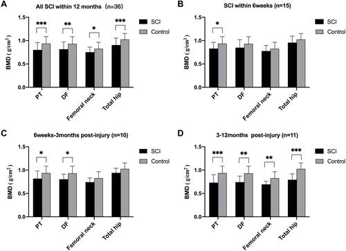 Figure 1 Comparison of BMDs at the DF, PT, and hip between SCI patients and healthy controls. (A) Comparison of BMDs between All SCI patients (n=36) and the controls; (B) Comparison of BMDs between SCI patients within 6 weeks post-injury (n=15) and the controls; (C) Comparison of BMDs between SCI patients during 6 weeks–3months post-injury (n=10) and the controls; (D) Comparison of BMDs between SCI patients during 3–12months post-injury (n=11) and the controls. *P<0.05, **P<0.01, ***P<0.001, independent sample t-test.