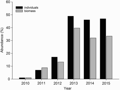 Figure 4. Number of individuals and estimated biomass of round goby as percentage of the total number and biomass of the cormorant pellets for 2010–2015 in Peenemünde (Case Study 4) (Stark Citation2011; Myts Citation2012; Winkler et al. Citation2014). Number of analysed cormorant pellets: 2010 = 263, 2011 = 221, 2012 = 184, 2013 = 164, 2014 = 103, 2015 = 113.