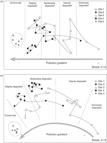 Fig. 4. Non-metric multidimensional scaling ordinations plots based on species abundances (percentage cover) showing the separation of assemblages according to sites and time of sampling. Lines reflect the displacement of each site with respect to its initial position (from 1984 to 2006). (A) Assemblages from 1.4 m intertidal level. (B) Assemblages from 0.75 m intertidal level.