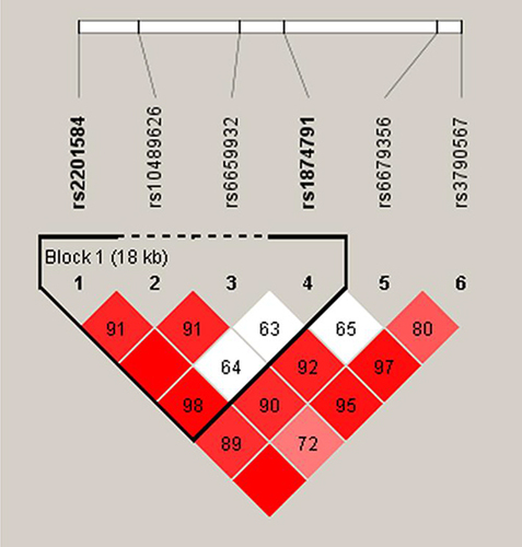 Figure 2 One linkage disequilibrium block composed by the IL-12Rβ2 genetic loci (rs2201584 and rs1874791). The numbers inside the diamonds indicate The D’ for pairwise analyses.
