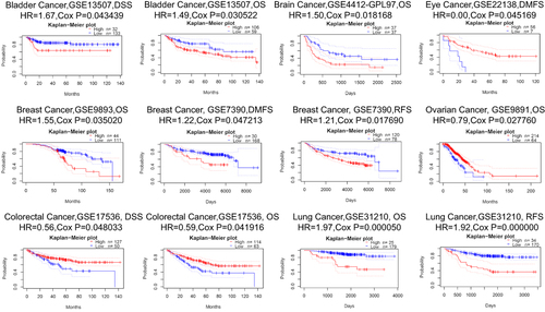 Figure 3 Kaplan-Meier survival curves comparing the high and low expression of GALNT6 gene in various cancer types.