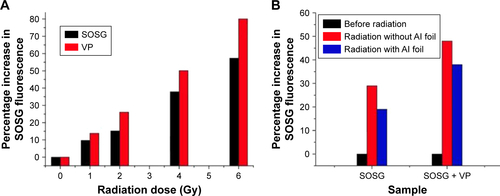 Figure S2 Singlet oxygen generation from pure VP.Notes: (A) Variation of SOSG intensity as a function of radiation dose. (B) Variation of SOSG intensity from the control (SOSG) and VP sample in the presence and absence of Al foil. The applied radiation dose is 5 Gy.Abbreviations: SOSG, singlet oxygen sensor green; VP, verteporfin.