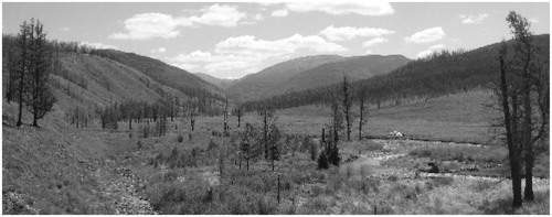 FIGURE 2. View over the research area at the upper site. The steep left slopes are vegetated steppe, whereas slopes on the right are covered with burned and pristine taiga.