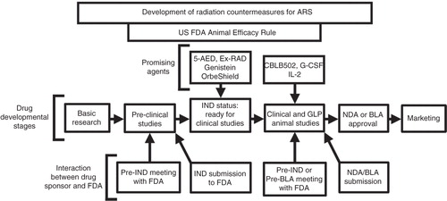 Figure 1. Stages of MCM development under the FDA Animal Efficacy Rule are shown. Important steps for developing MCM and FDA approvals are depicted in the above figure.