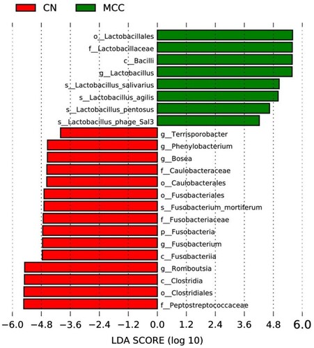 Figure 2. Effects of MCC on the microbial biomarkers of laying hens (n = 4). Linear discriminant analysis effect size (LEfSe) analysis shows differentially abundant genera as biomarkers determined using Kruskal–Wallis test (P < 0.05) with the logarithmic linear discriminant analysis (LDA) score > 4.0. CN: the control group; MCC: basal diet supplemented with MLP, BS, FOS and DEO. MLP, microencapsulated Lactobacillus Plantarum; BS, Bacillus subtilis; FOS, fructooligosaccharides; DEO, Yucca Schidigera extract.