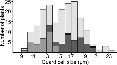 Figure 1. Number of Polylepis guard cell measurements in size classes (μm, with 9 indicating measurements from 9.0 to 9.9 μm), including all previously published and newly generated measurements. Total height of each bar shows the total number of measurements in this size class, with white indicating measurements that cannot be directly linked with chromosome counts or flow cytometry measurements, light gray the number of samples from species with only diploid chromosome counts or flow cytometry measurements between 1.4 and1.7 pg, dark gray species with tetraploid chromosome counts or flow cytometry measurements between 2.6 and 3.4 pg, and black species with octoploid flow cytometry measurements