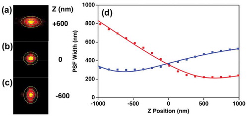 Figure 9. TPPL images obtained for a single AuNR at various z positions; 600 nm above focal plane (a), average focal plane (b) and 600 nm below focal plane (c); (d) Calibration curve of image widths wx and wy obtained as a function of sample position, Z, for single gold nanorods (AuNRs). Each data point represents the average value obtained from 30 scans from the same particle, center energy: 1.55 eV, frame rate: 10fps. The data were fit to a defocusing function (red curve) as described in reference 13