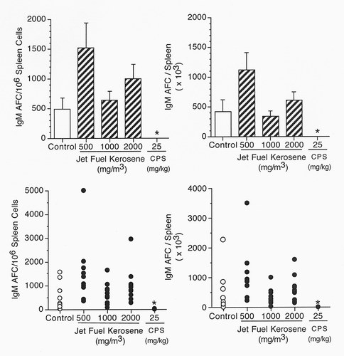 FIGURE 2. AFC response to sRBC in female Crl:CD rats exposed to jet fuel kerosene for 28 d. On d 25 of the study, rats were immunized with 2 × 108 sRBC by iv injection. Positive control animals received 25 mg/kg CPS daily by ip injection for 4 d prior to study termination on d 29. The top two panels present the mean + SE for each group, while the bottom two panels present the individual responses of each animal. Left panels: AFC specific activity (IgM AFC/106 splenocytes); right panels: AFC total Spleen activity (IgM AFC/Spleen). Asterisk indicates statistically significant differences from control: *p ≤ .05.