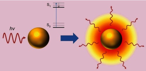 Figure 4 Photothermal effect on gold nanoparticles. After irradiation AuNPs absorbs light, which leads to an electronic transition of the surface electrons from a ground state (S0) to an excited state (S1). The energy is released in the environment of the nanostructure as local heat. Republished with permission of Future Medicine Ltd, from Gold nanoparticles for photothermally controlled drug release, Guerrero AR, Hassan N, Escobar CA, Albericio F, Kogan MJ, Araya E, 9, 2014; permission conveyed through Copyright Clearance Center, Inc.Citation32